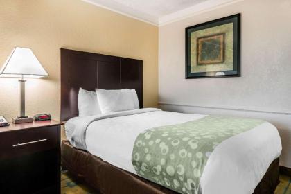 Quality Inn At International Drive - image 23