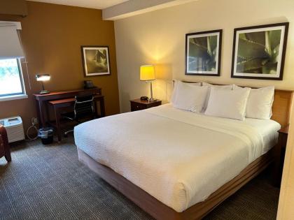 La Quinta Inn & Suites by Wyndham Orlando South - image 14