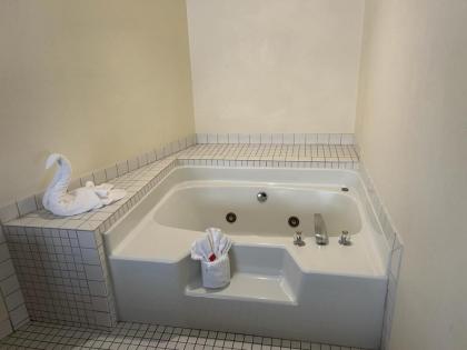 La Quinta Inn & Suites by Wyndham Orlando South - image 6