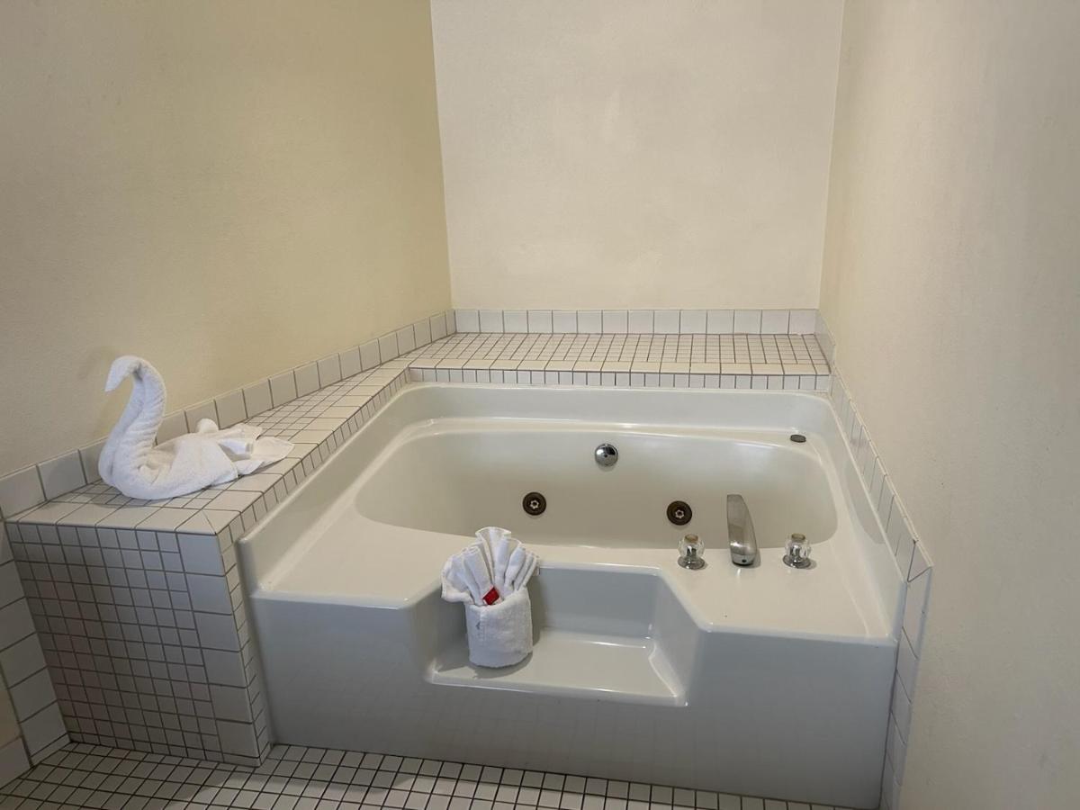 La Quinta Inn & Suites by Wyndham Orlando South - image 6