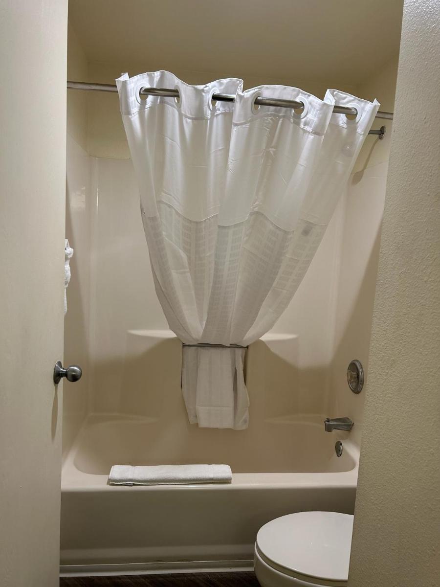 La Quinta Inn & Suites by Wyndham Orlando South - image 7