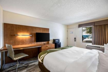 Quality Inn & Suites Downtown - image 16