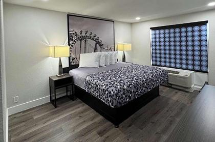 Super 8 by Wyndham Orlando Near Florida Mall - image 7