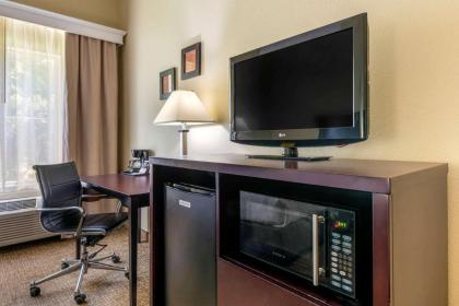 Comfort Inn International - image 10