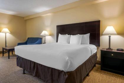Comfort Inn International - image 12