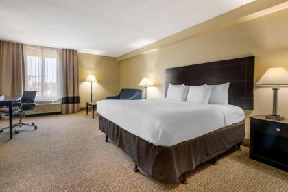 Comfort Inn International - image 13