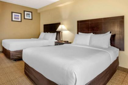 Comfort Inn International - image 15