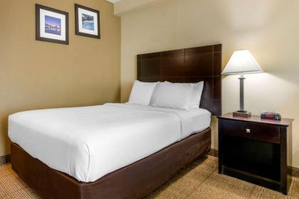 Comfort Inn International - image 16