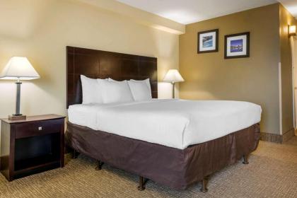 Comfort Inn International - image 18