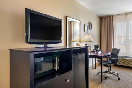Comfort Inn International - image 19