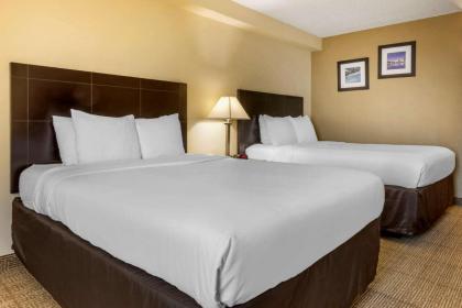 Comfort Inn International - image 2
