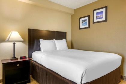 Comfort Inn International - image 4