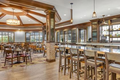 Marriott's Grande Vista - image 29