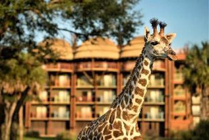 Disney's Animal Kingdom Lodge - image 9