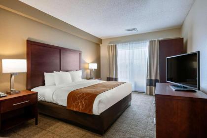 Comfort Suites Downtown Orlando - image 10