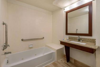 Comfort Suites Downtown Orlando - image 11