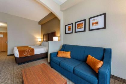 Comfort Suites Downtown Orlando - image 12