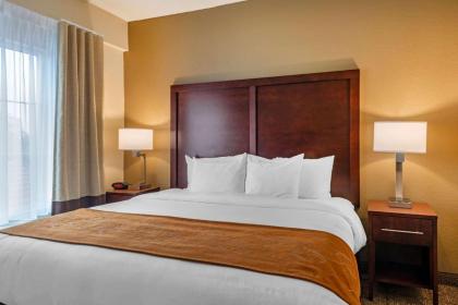 Comfort Suites Downtown Orlando - image 17