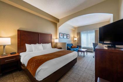 Comfort Suites Downtown Orlando - image 18
