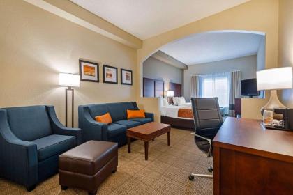 Comfort Suites Downtown Orlando - image 19