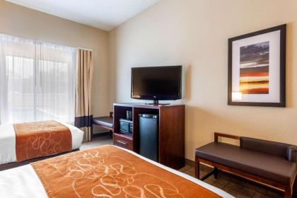 Comfort Suites Downtown Orlando - image 2