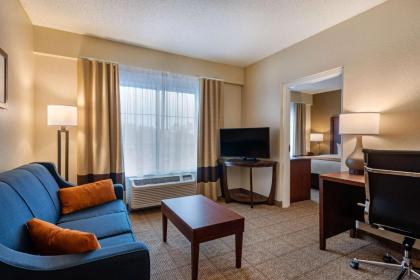 Comfort Suites Downtown Orlando - image 20