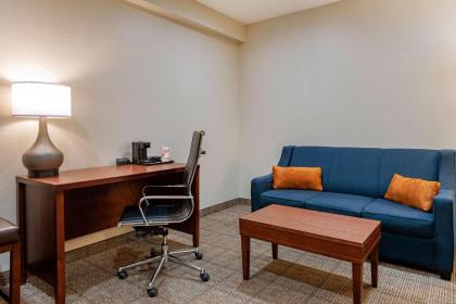 Comfort Suites Downtown Orlando - image 21