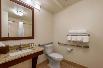 Comfort Suites Downtown Orlando - image 23