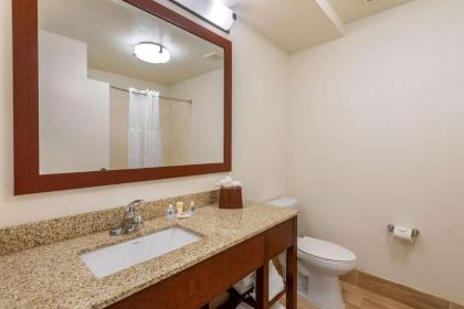 Comfort Suites Downtown Orlando - image 25