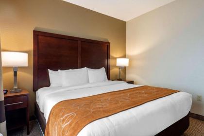 Comfort Suites Downtown Orlando - image 28