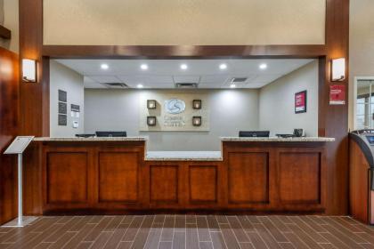 Comfort Suites Downtown Orlando - image 3