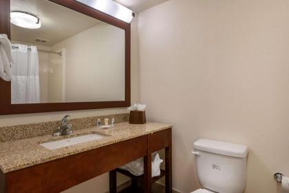 Comfort Suites Downtown Orlando - image 30