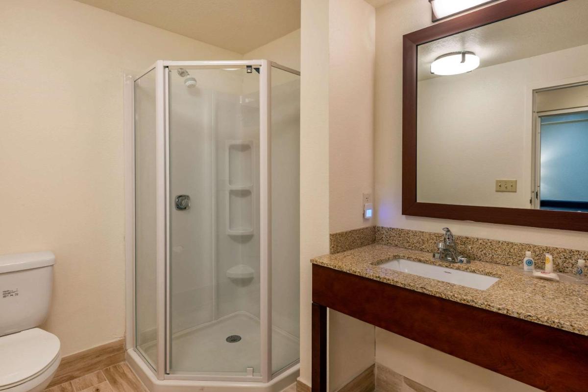 Comfort Suites Downtown Orlando - image 4