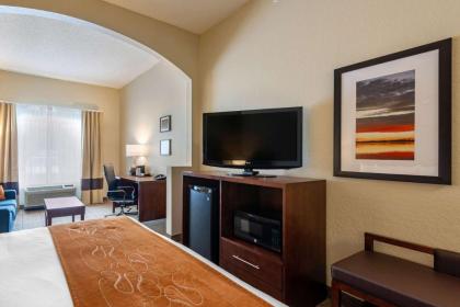 Comfort Suites Downtown Orlando - image 5