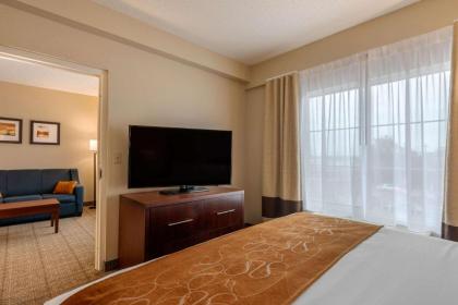 Comfort Suites Downtown Orlando - image 8