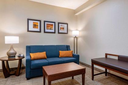 Comfort Suites Downtown Orlando - image 9