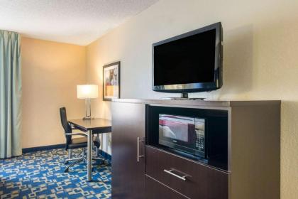 Comfort Inn & Suites Near Universal Orlando Resort-Convention Ctr - image 12