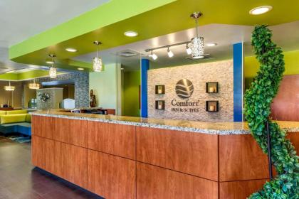 Comfort Inn & Suites Near Universal Orlando Resort-Convention Ctr - image 3