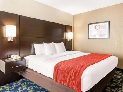 Comfort Inn & Suites Near Universal Orlando Resort-Convention Ctr - image 5