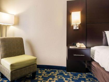 Comfort Inn & Suites Near Universal Orlando Resort-Convention Ctr - image 8