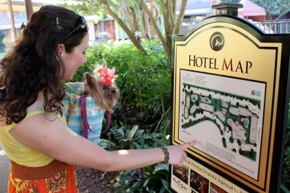 Rosen Inn At Pointe Orlando - image 10