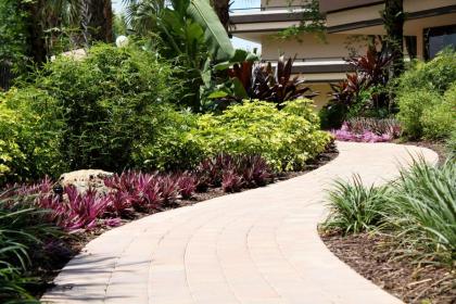 Rosen Inn At Pointe Orlando - image 12