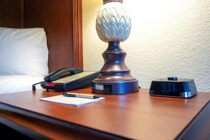 Rosen Inn Closest To Universal - image 16