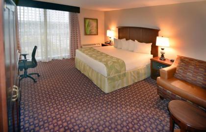 Rosen Inn Closest To Universal - image 25