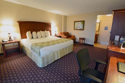 Rosen Inn Closest To Universal - image 26