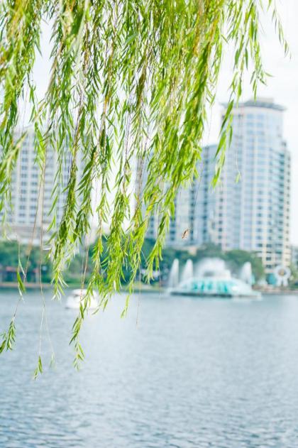 The EO Inn - Downtown Orlando - image 12