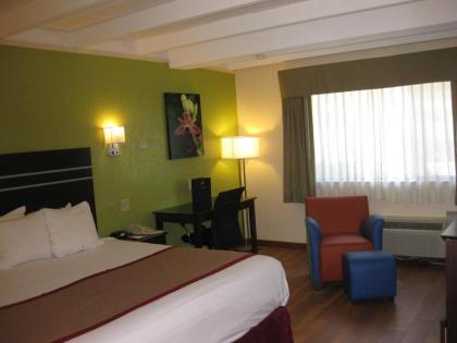 Best Western Orlando West - image 16