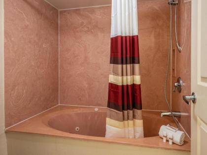 Red Roof Inn Orlando South - Florida Mall - image 9