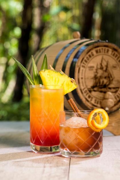 Loews Sapphire Falls Resort at Universal Orlando - image 12
