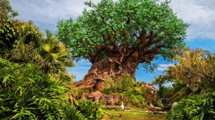 Disney's Animal Kingdom Villas - Jambo House - image 4